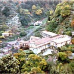 polsi