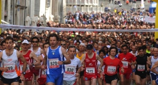 Grifonissima