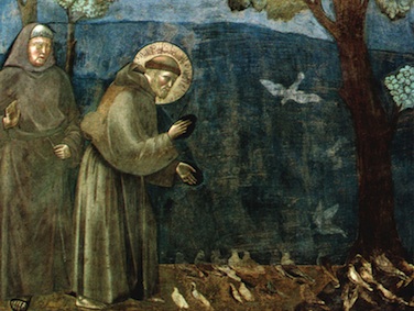San Francesco (Giotto)