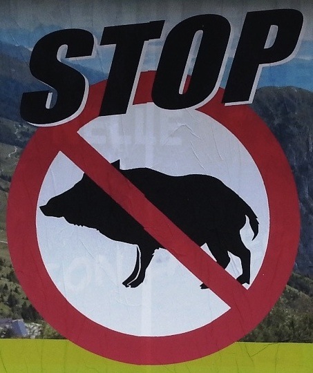 stop-cinghiali